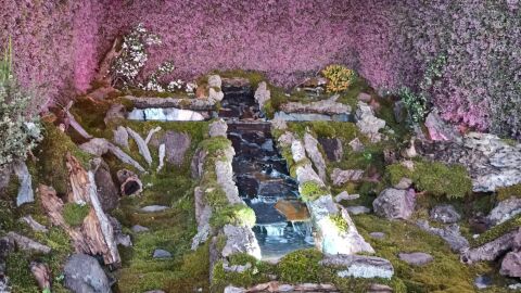 Cruces de Mayo en Piedrabuena 2022