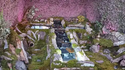 Cruces de Mayo Cruces de Mayo en Piedrabuena 2022