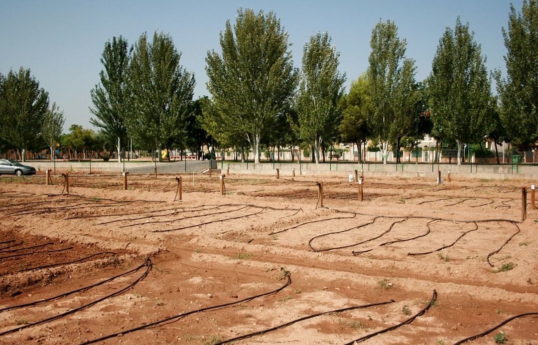 Almassora abrirá en 15 días las solicitudes de huertos urbanos Almassora abrirá en 15 días las solicitudes de huertos urbanos