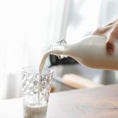¿Por qué somos la única especie que toma leche en la edad adulta?