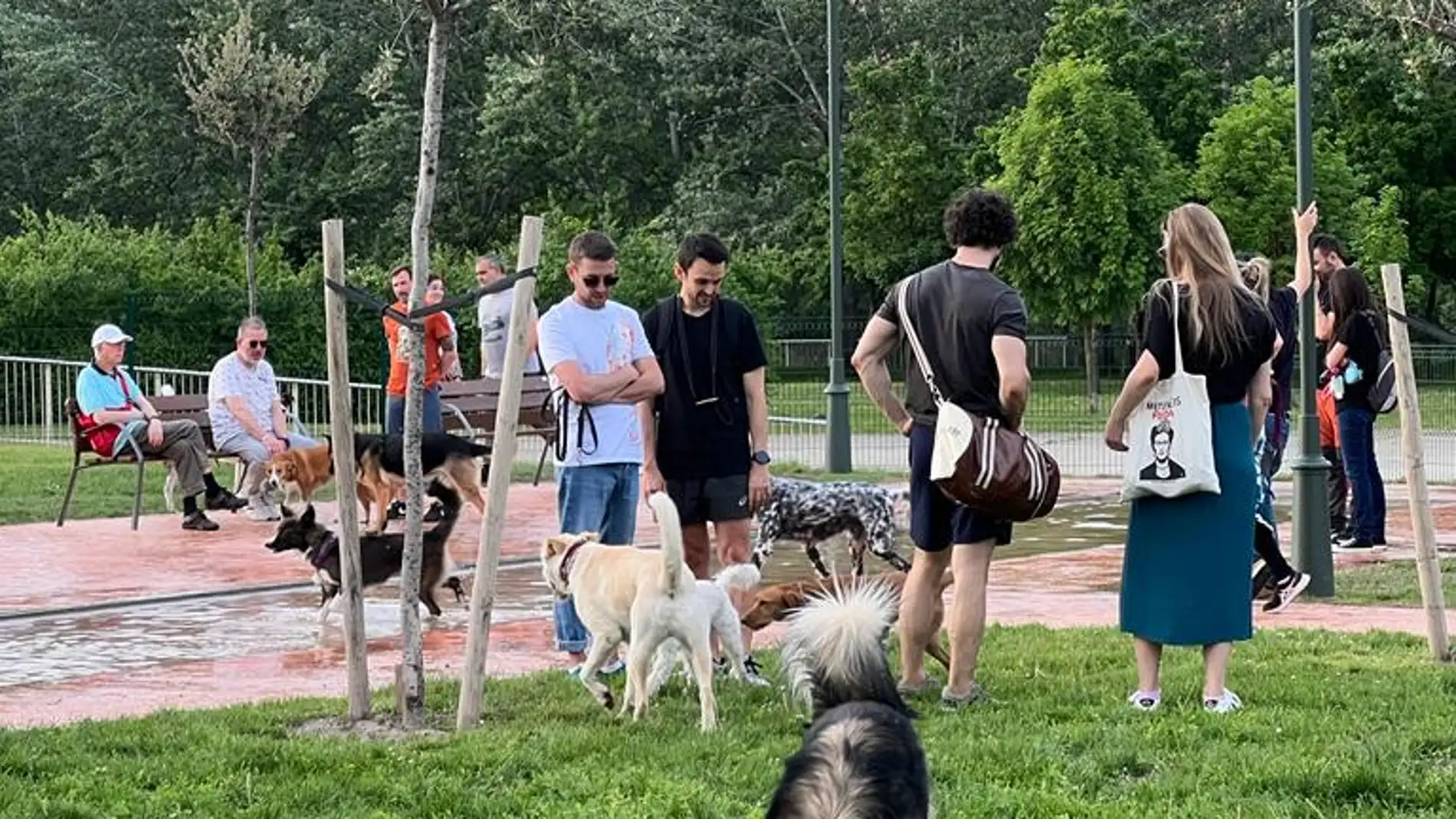 Nuevo parque para perros en San Juan de Aragón