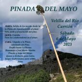 Velilla del Río Carrión celebra este sábado la tradicional "Pinada del Mayo"