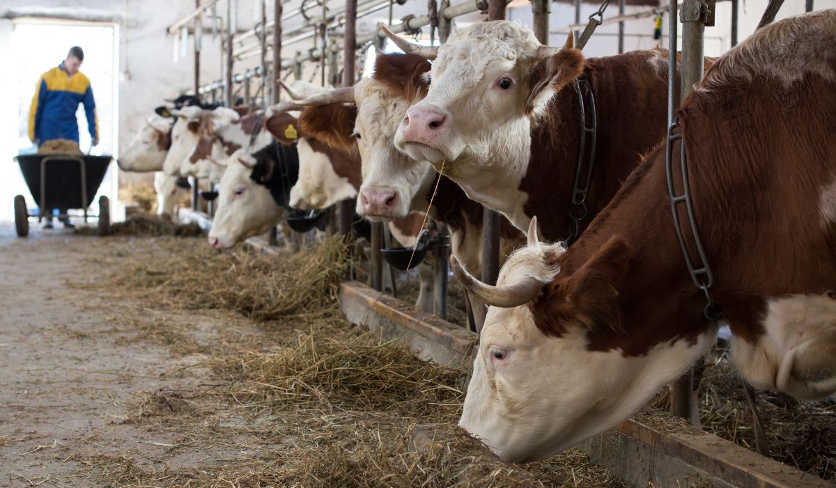 Con Susana Marqués, Más de Uno Álava 03/05/2023 Con Susana Marqués, Más de Uno Álava 03/05/2023