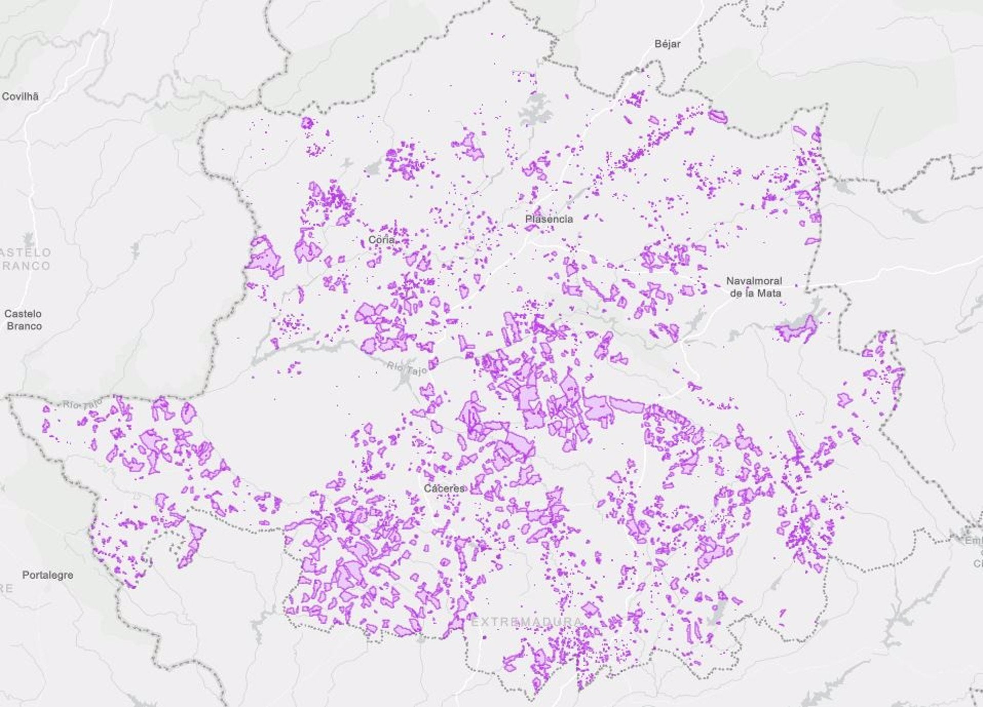 4,2 millones ayudas para mejorar la conectividad en centros logísticos de la región 4,2 millones ayudas para mejorar la conectividad en centros logísticos de la región