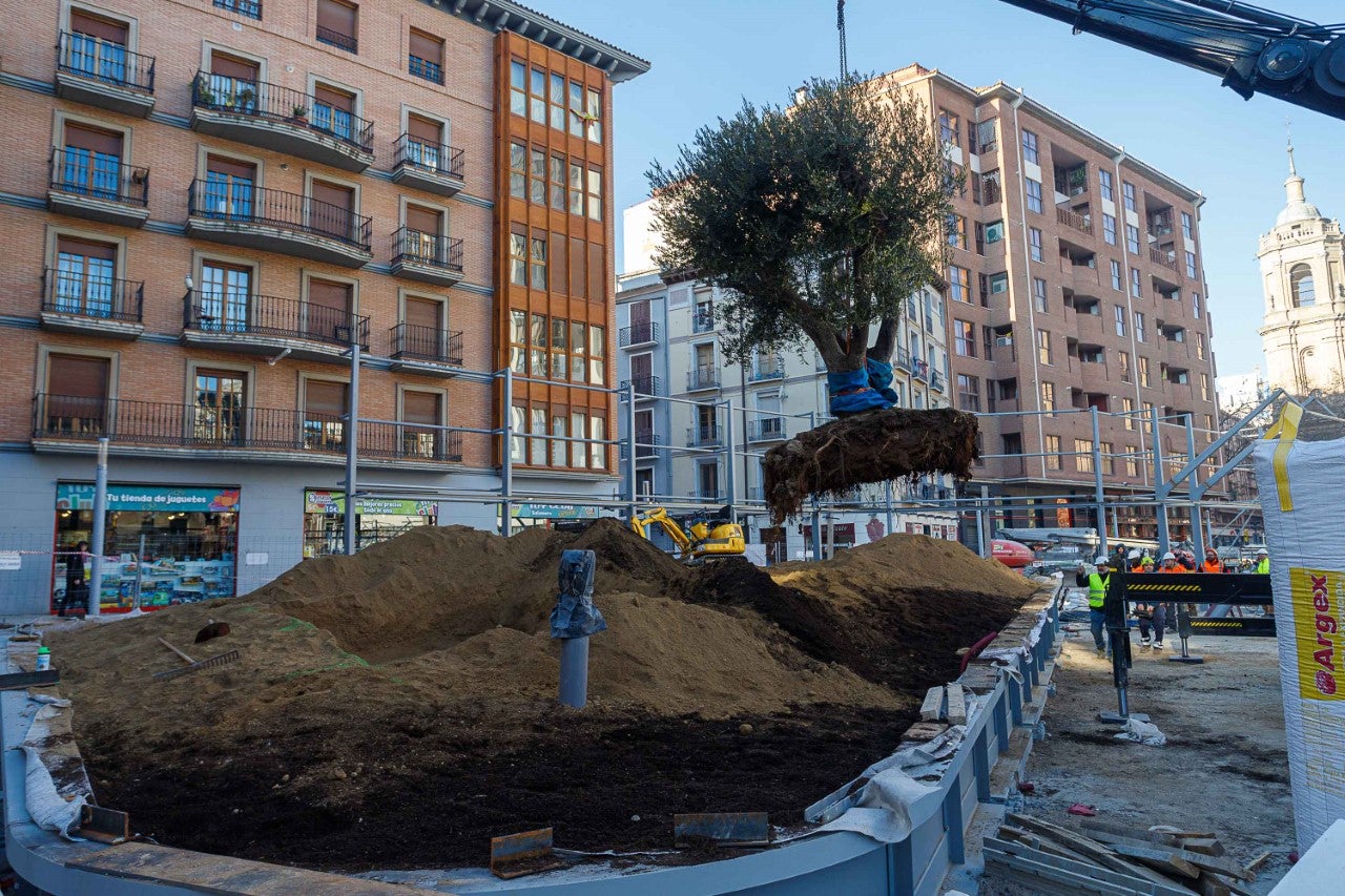Paco Iturbe: "La sequía no debe frenar el 'urbanismo verde', sino todo lo contrario" Paco Iturbe: "La sequía no debe frenar el 'urbanismo verde', sino todo lo contrario"