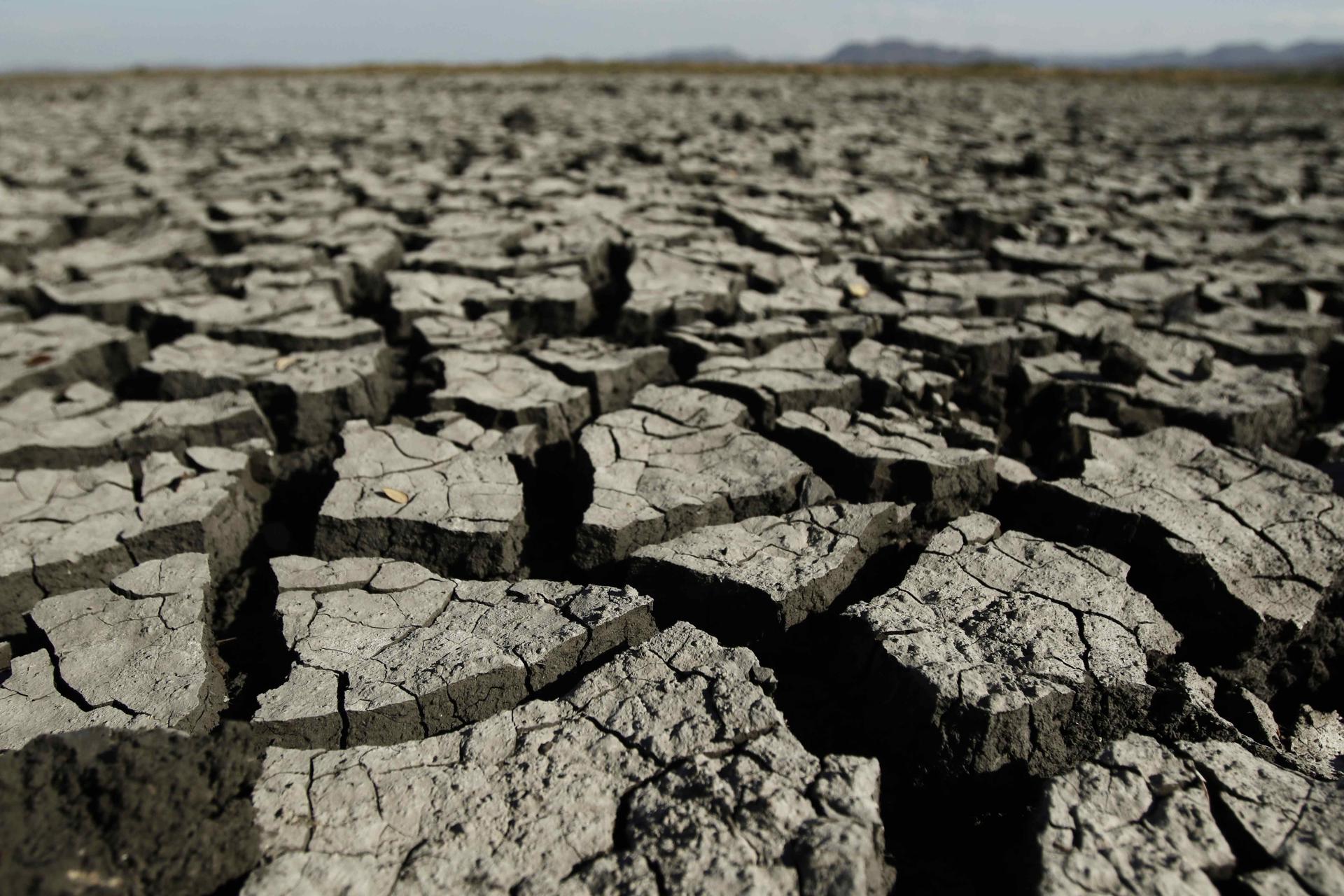 Las graves consecuencias del fenómeno del Niño del que alerta la Organización Meteorológica Mundial Las graves consecuencias del fenómeno del Niño del que alerta la Organización Meteorológica Mundial