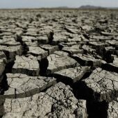 Imagen de la sequía