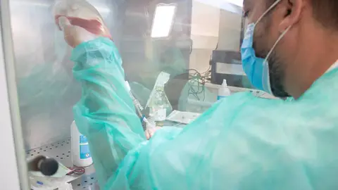 El Virgen del Rocío administra un nuevo medicamento contra varios tipos de cánceres del sistema linfático El Virgen del Rocío administra un nuevo medicamento contra varios tipos de cánceres del sistema linfático