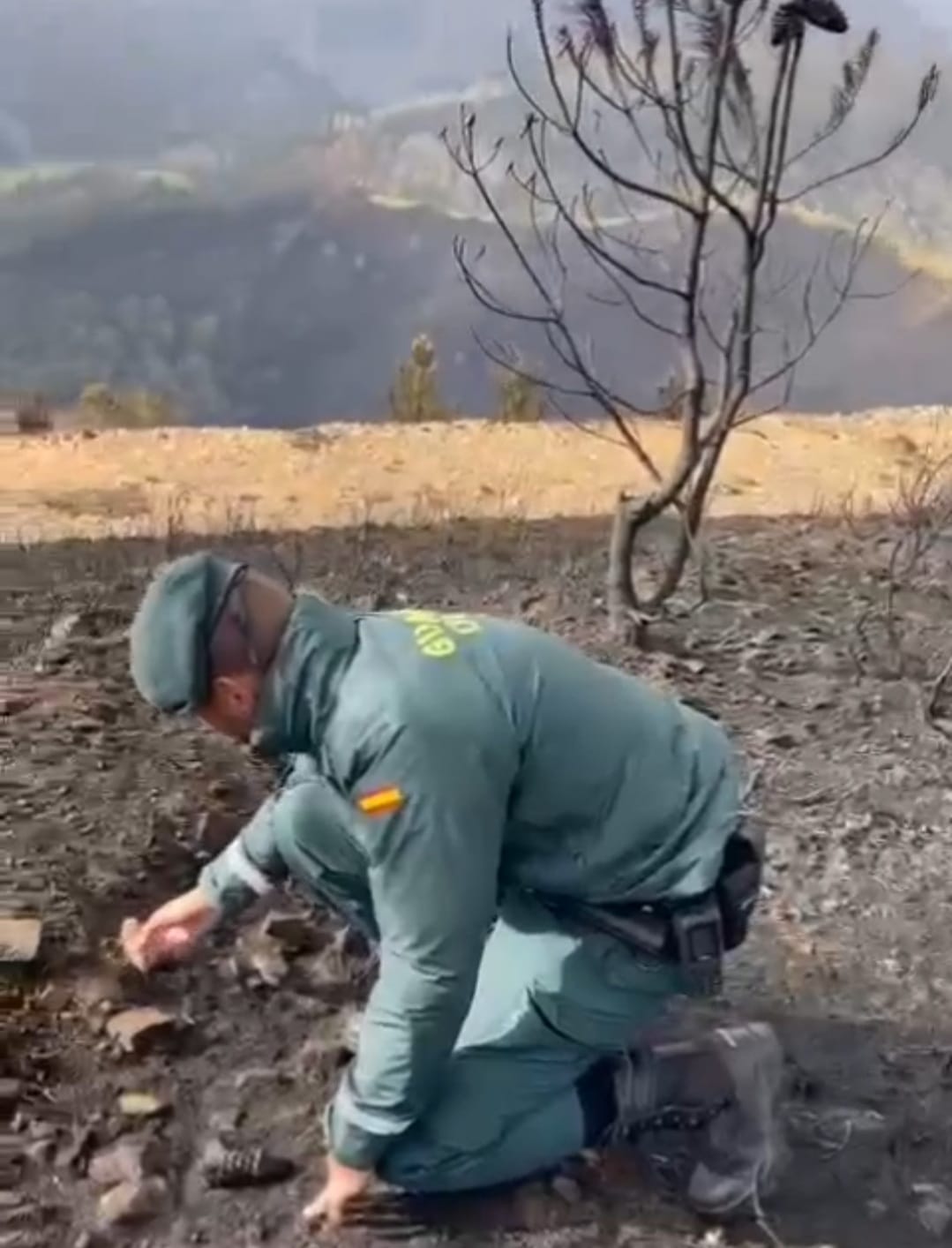 Cuatro investigados por incendios forestales en Boal Cuatro investigados por incendios forestales en Boal