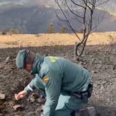 Cuatro investigados por incendios forestales en Boal