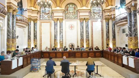 Pleno municipal Pleno municipal