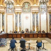 Pleno municipal Pleno municipal