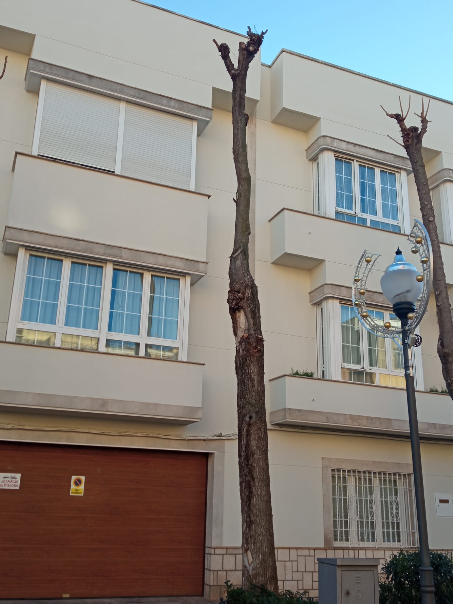 Ecologistas en Acción pide que se proteja y aumente la masa arbórea de Valdepeñas Ecologistas en Acción pide que se proteja y aumente la masa arbórea de Valdepeñas