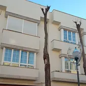 Poda o desmoche árboles Valdepeñas Poda o desmoche árboles Valdepeñas