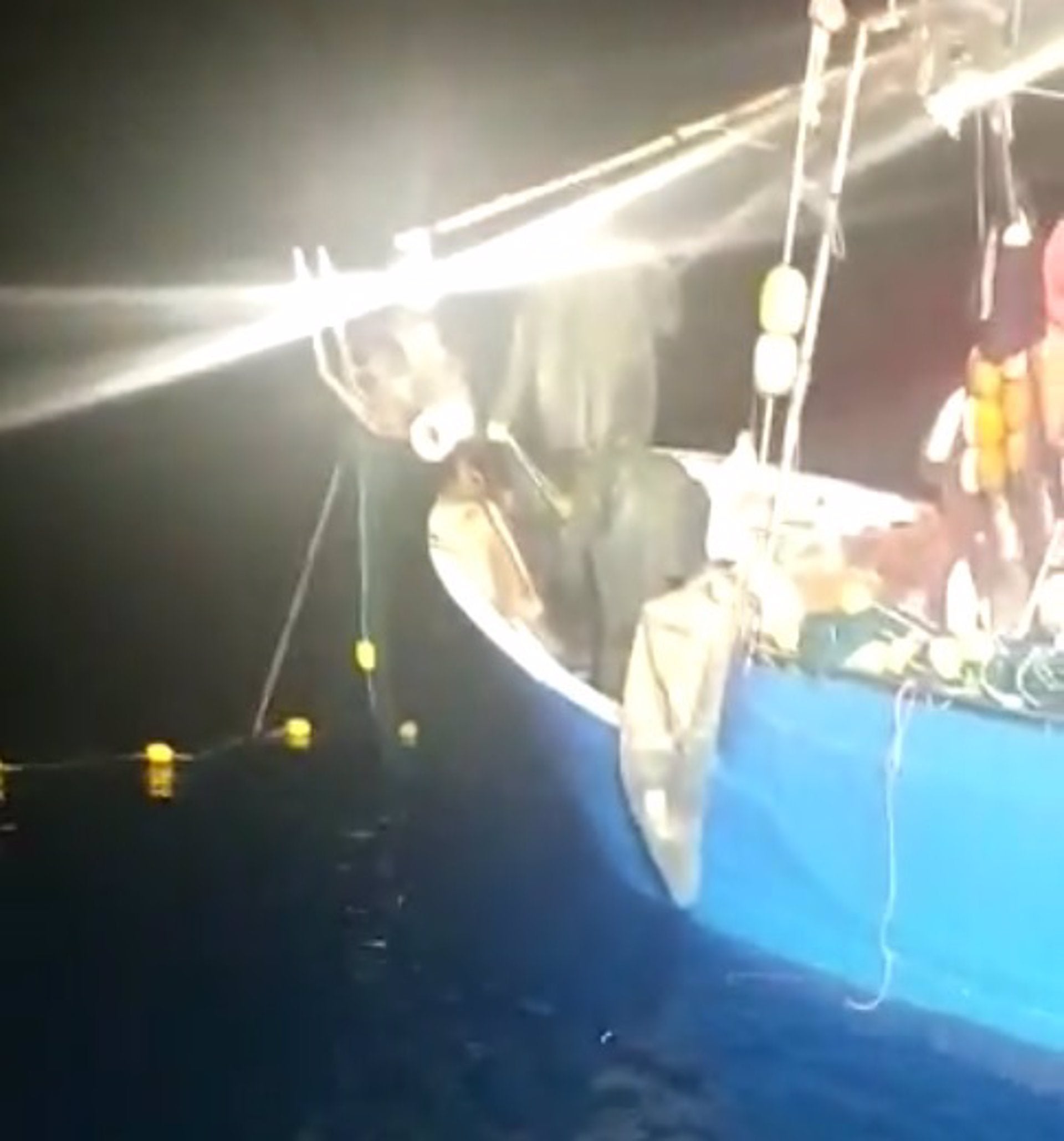 Pescadores de Carboneras sopesan llevar a puerto a pesqueros marroquíes que faenan ilegalmente en alta mar Pescadores de Carboneras sopesan llevar a puerto a pesqueros marroquíes que faenan ilegalmente en alta mar