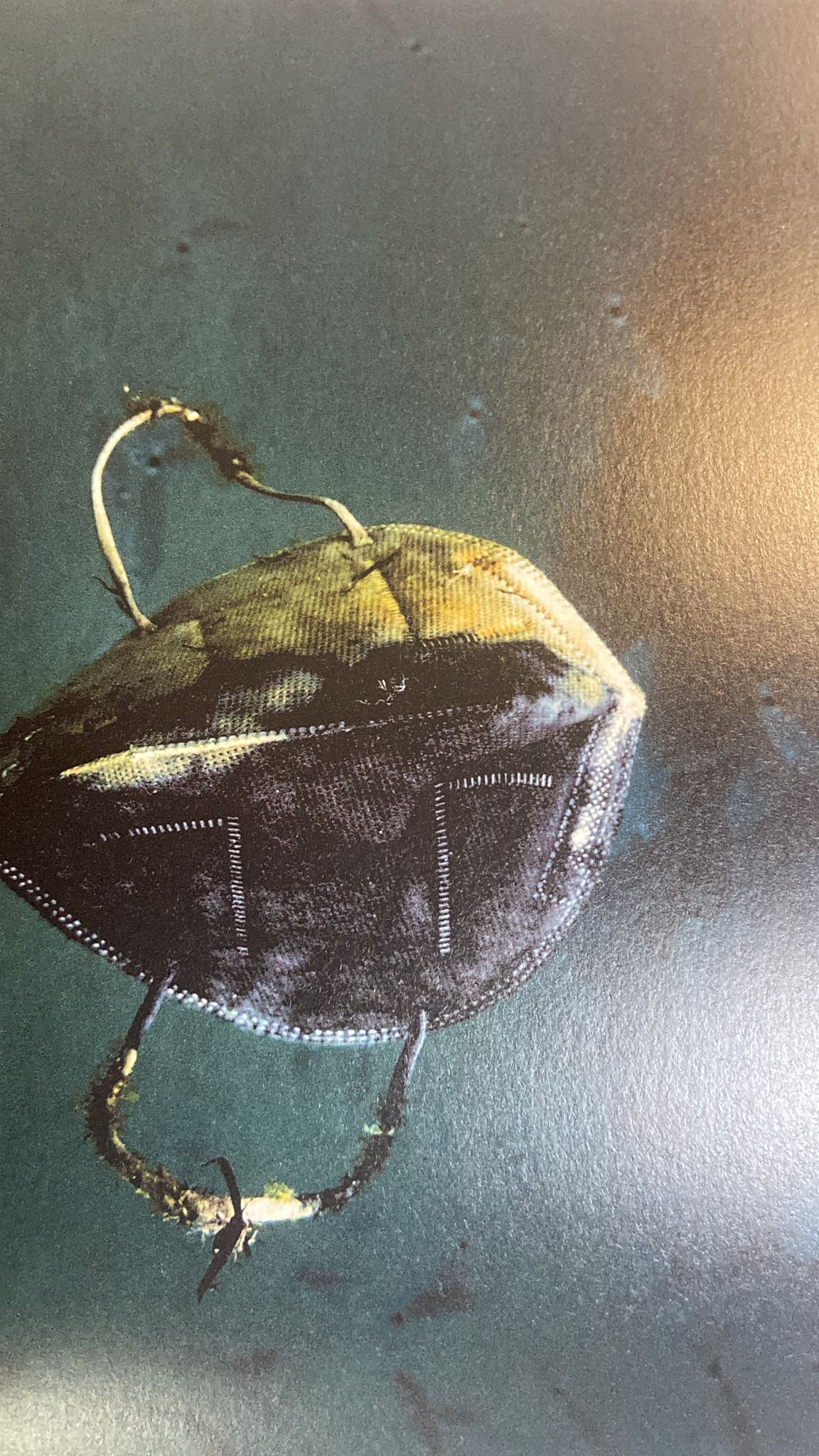 Océano Plástico: Un libro necesario Océano Plástico: Un libro necesario