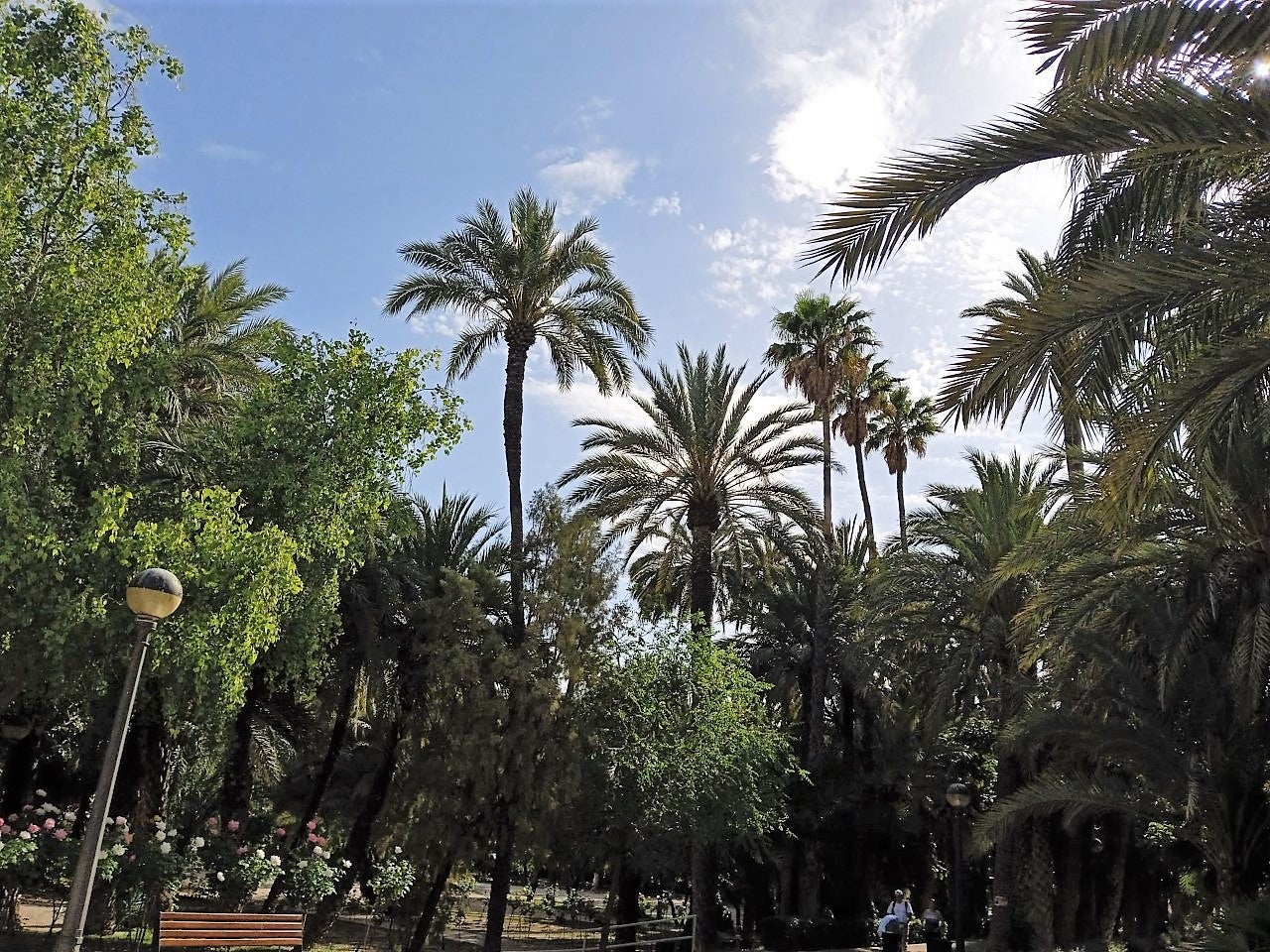 El sol y las temperaturas suaves se apuntan a la Semana Santa de Elche, Crevillent y Santa Pola El sol y las temperaturas suaves se apuntan a la Semana Santa de Elche, Crevillent y Santa Pola