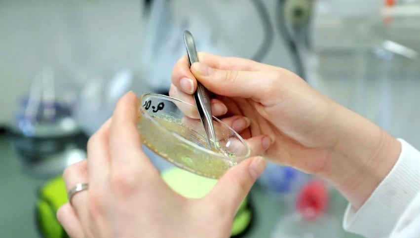 Santiago Domingo, ginecólogo oncológico: "Los nuevos tratamientos en cáncer de ovario podrían doblar la supervivencia" Santiago Domingo, ginecólogo oncológico: "Los nuevos tratamientos en cáncer de ovario podrían doblar la supervivencia"