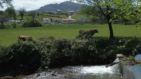 Vega Parroquia de Gijón
