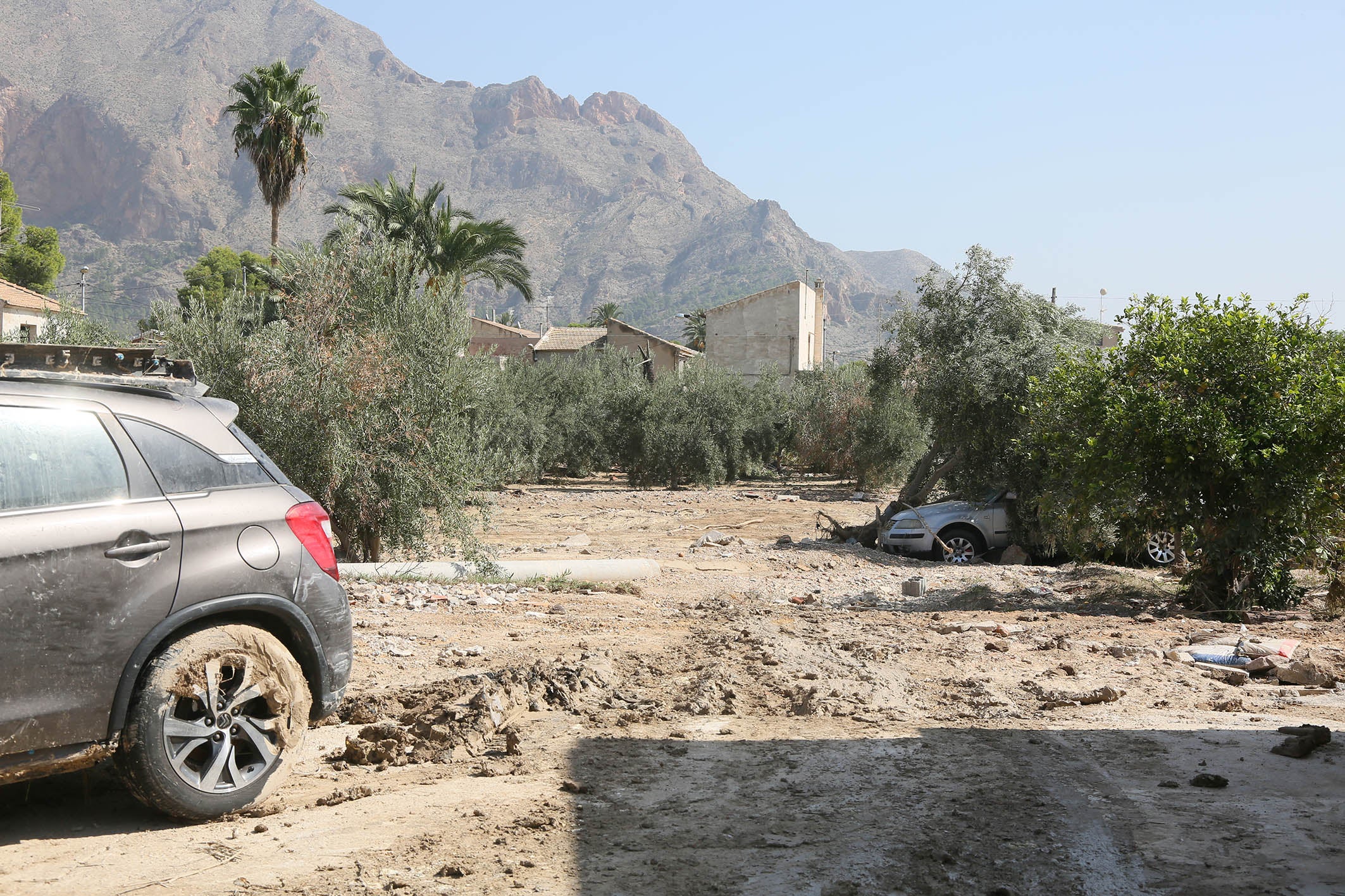 La Diputación invierte 900.000 euros en la reparación y conservación de caminos La Diputación invierte 900.000 euros en la reparación y conservación de caminos