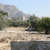 La Diputación invierte 900.000 euros en la reparación y conservación de caminos 