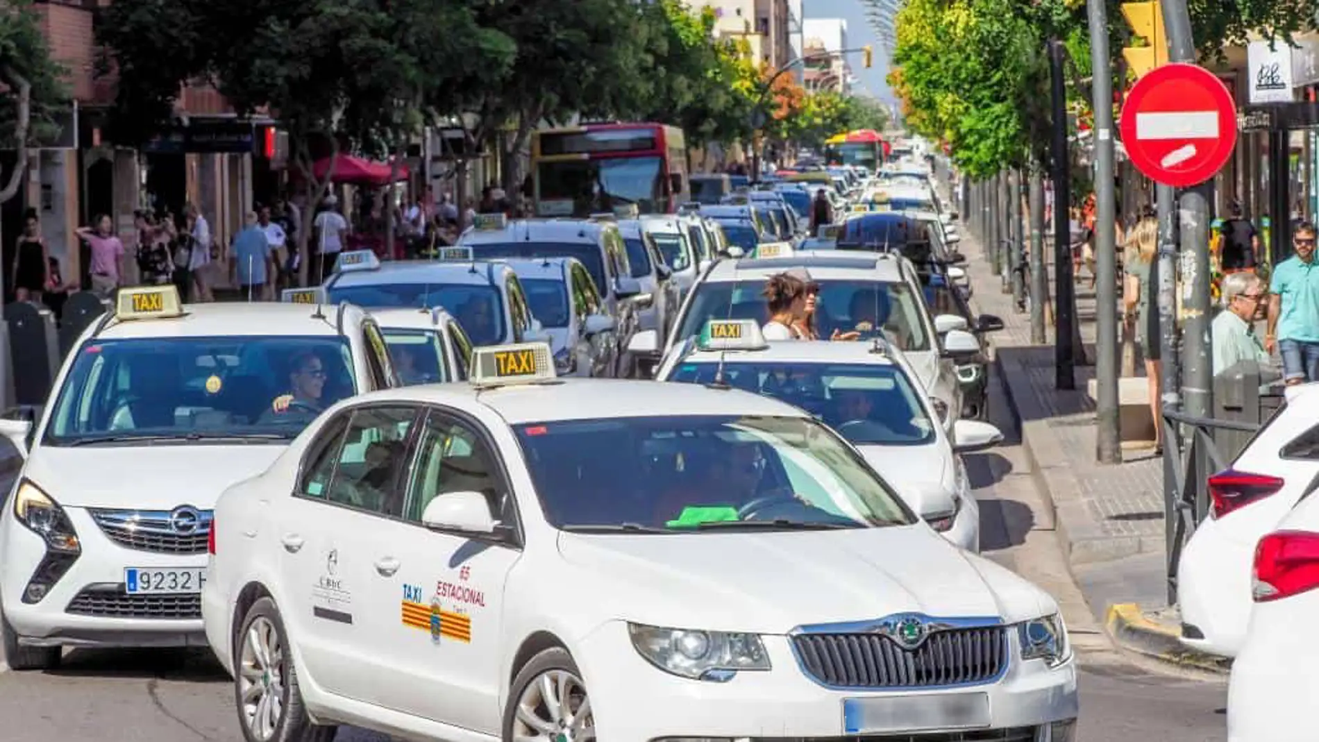 El Consell d'Eivissa y el Govern vuelven a desplegar su plan de choque contra taxis piratas y el intrusismo en el sector 