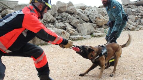 Formaci&oacute;n de gu&iacute;as caninos en la Escuela Nacional de Protecci&oacute;n Civil