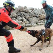 Formación de guías caninos en la Escuela Nacional de Protección Civil