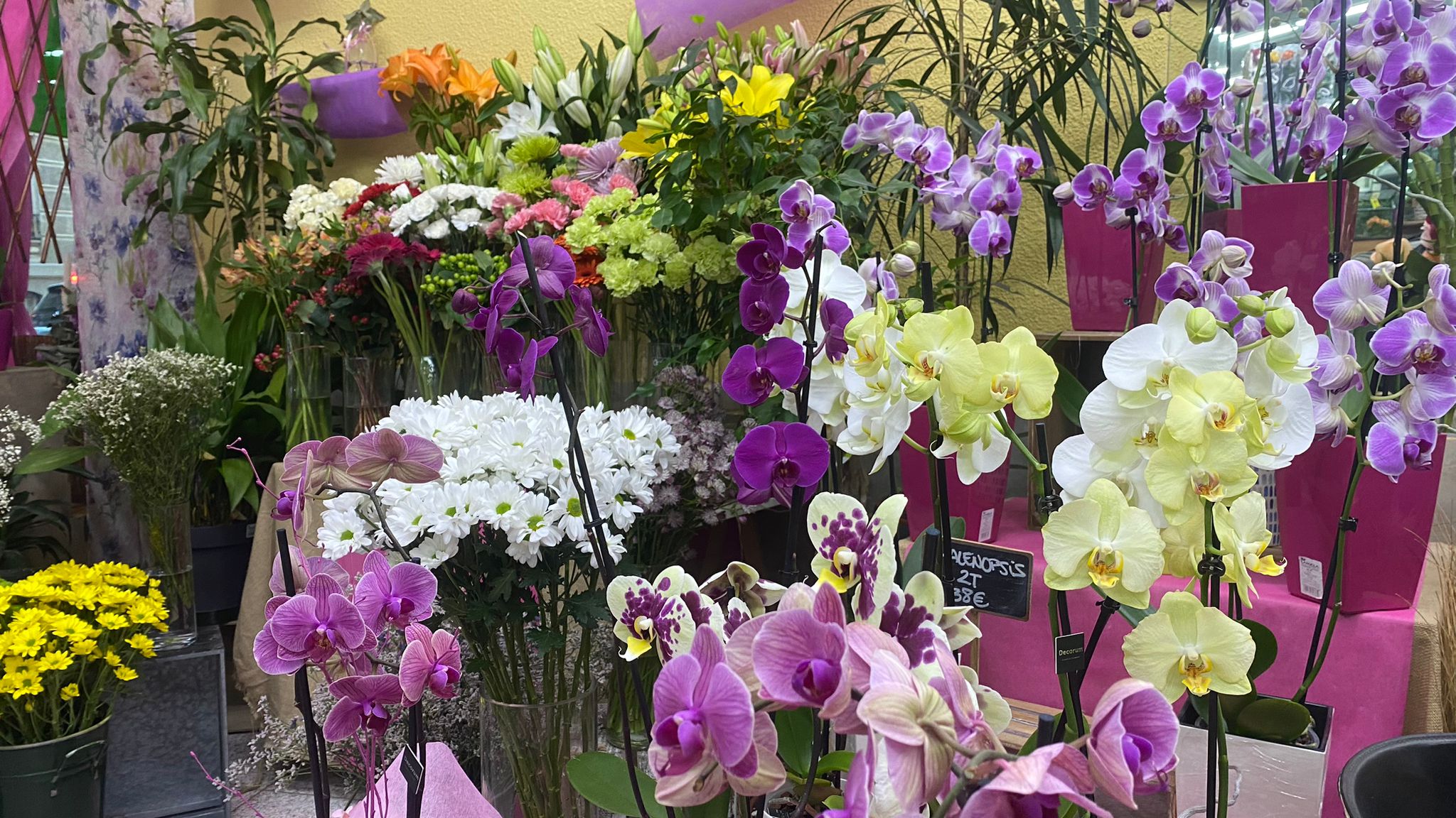 Las flores: significados, historia de su uso y otras curiosidades Las flores: significados, historia de su uso y otras curiosidades