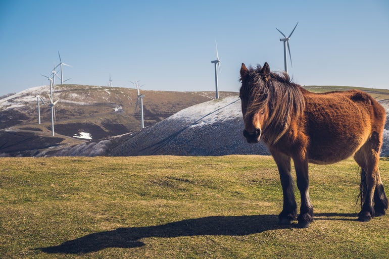 Euskadi establece 110 lugares donde instalar parques eólicos o fotovoltaicos Euskadi establece 110 lugares donde instalar parques eólicos o fotovoltaicos