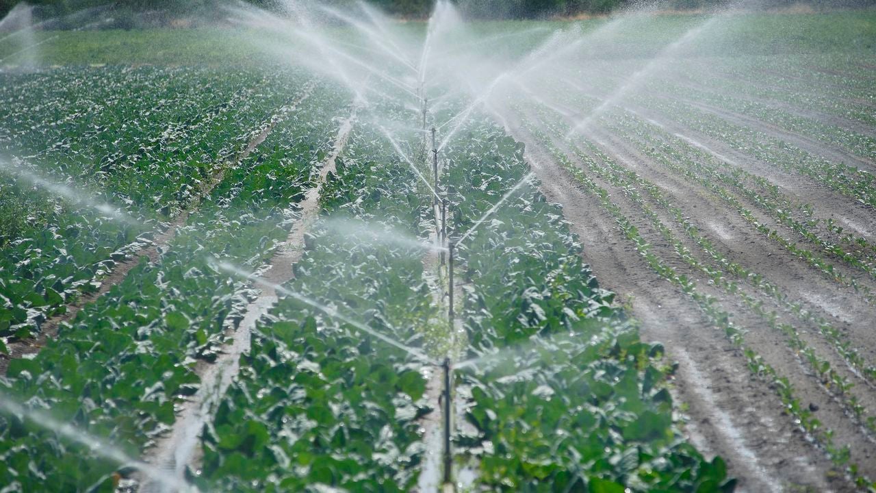 A Deputación de Ourense destina unha axuda de 600.000 euros para a modernización do regadío da Limia A Deputación de Ourense destina unha axuda de 600.000 euros para a modernización do regadío da Limia