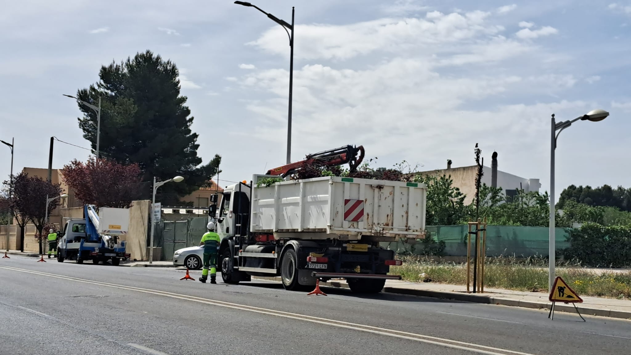 Varias asociaciones piden la paralización de las podas en la capital Varias asociaciones piden la paralización de las podas en la capital