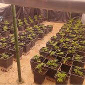 Plantación indoor de Marihuana en Altea