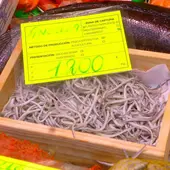 Venta de angulas Venta de angulas