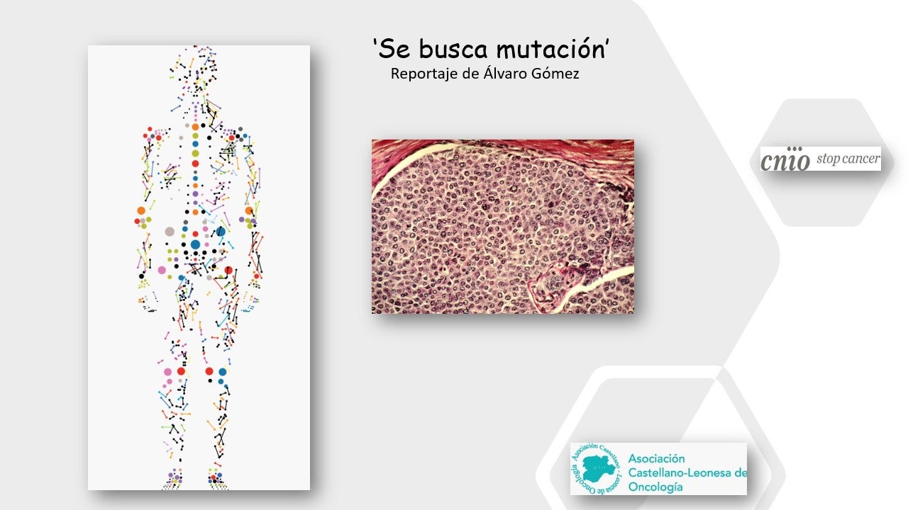 Reportaje ‘Se busca mutación’ Reportaje ‘Se busca mutación’