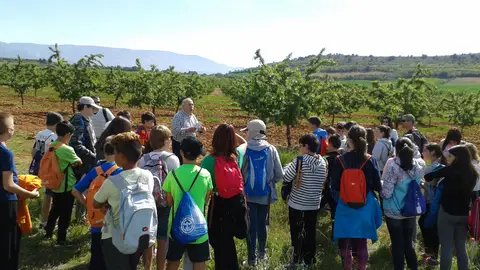 Imagen de una de las actividades. Imagen de una de las actividades.