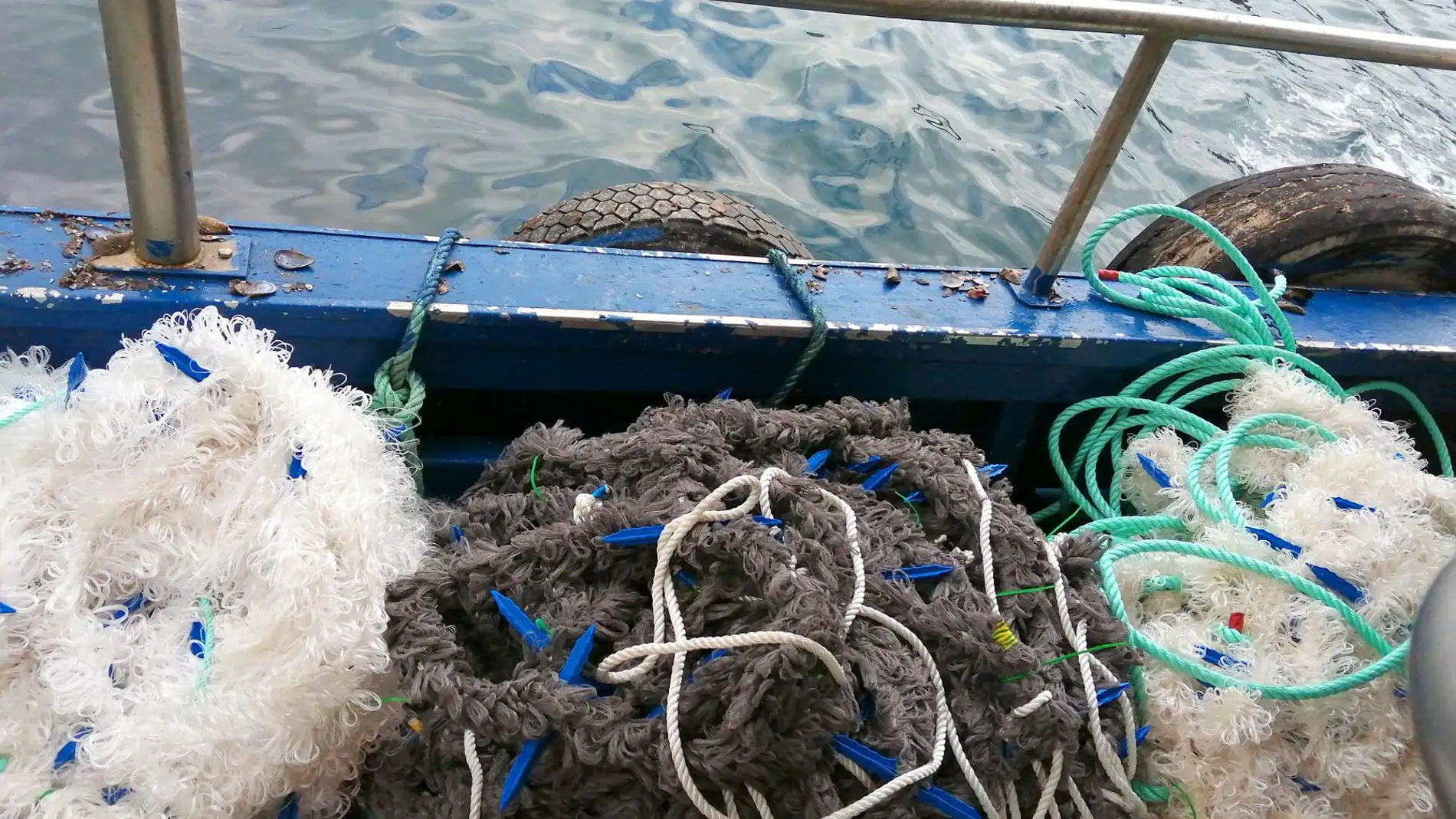  Cuerdas Bio para una acuicultura ecológica y mas sostenible 