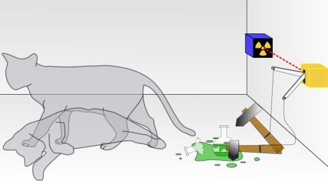 Teor&iacute;a del gato de Schr&ouml;dinger
