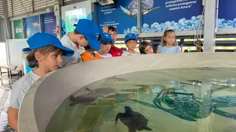 Oceanogràfic Oceanogràfic