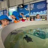 Oceanogràfic Oceanogràfic