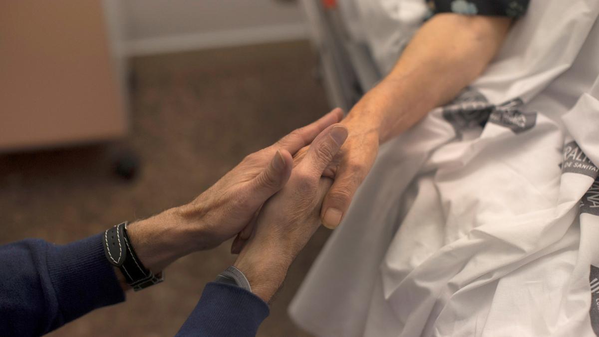 El Parlamento portugués aprueba la ley de la eutanasia ante el veto de su presidente El Parlamento portugués aprueba la ley de la eutanasia ante el veto de su presidente