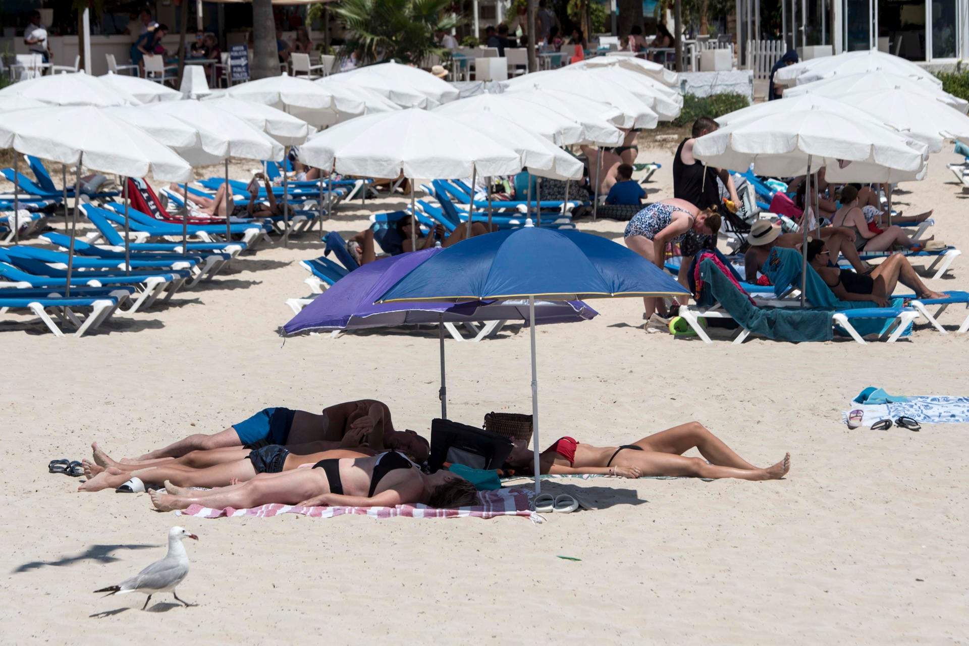 La última predicción de la Aemet prevé un verano histórico en España por el calor y las lluvias La última predicción de la Aemet prevé un verano histórico en España por el calor y las lluvias
