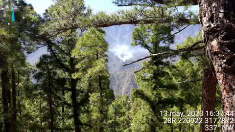 Incendio forestal declarado el sábado 13 de mayo de 2023 en La Caldera de Taburiente, La Palma Incendio forestal declarado el sábado 13 de mayo de 2023 en La Caldera de Taburiente, La Palma