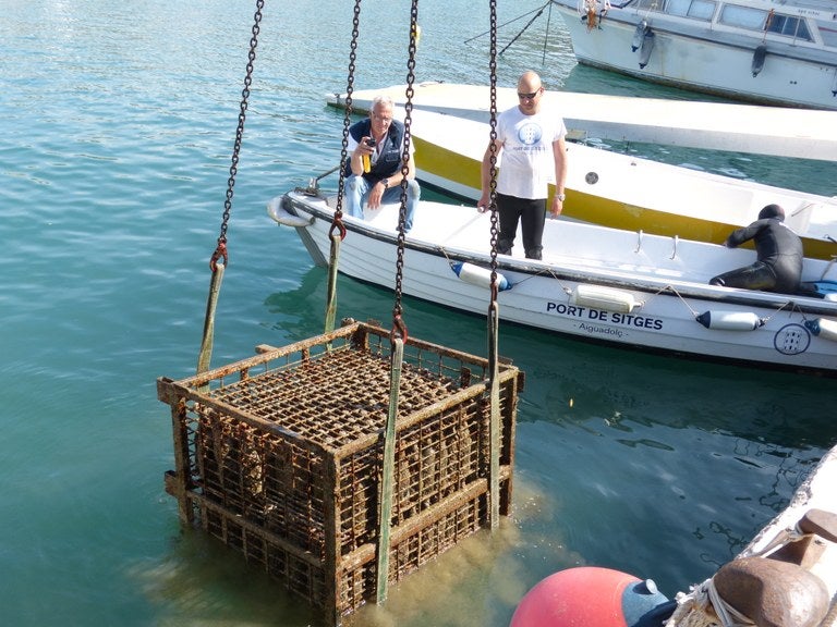 Les immersions submarines de Malvasia es tornaran a fer adaptades al calendari i en una altra ubicació Les immersions submarines de Malvasia es tornaran a fer adaptades al calendari i en una altra ubicació
