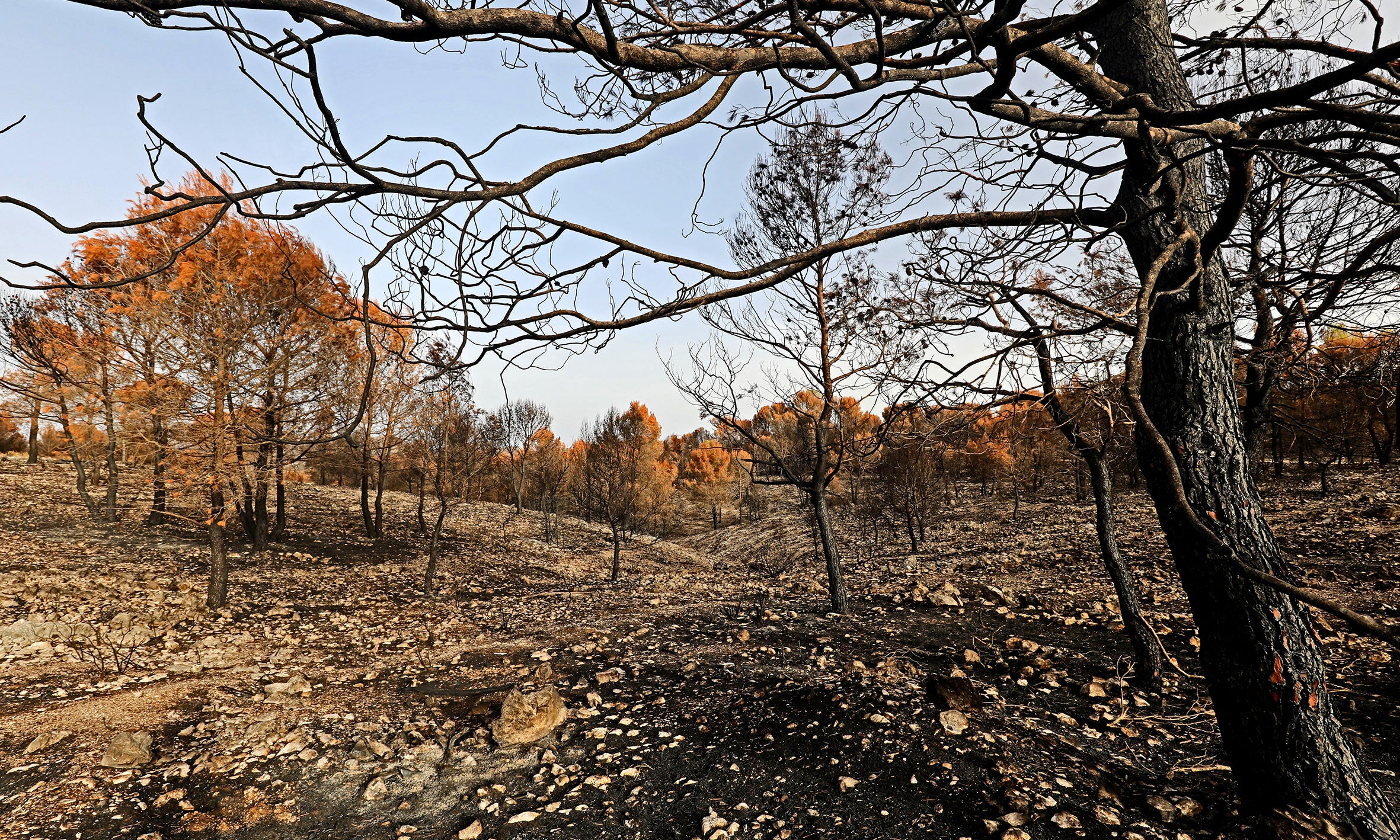 62 ayuntamientos se beneficiarán de esta convocatoria, dotada con 1,4 millones de euros 62 ayuntamientos se beneficiarán de esta convocatoria, dotada con 1,4 millones de euros