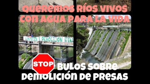 Colectivos ecologistas contra los bulos relacionados con la eliminaci&oacute;n de presas y azudes de los r&iacute;os 