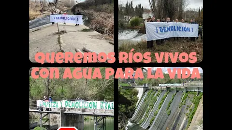 Colectivos ecologistas animan al Ministerio de Transición Ecológica a que cumpla con la legislación y acelere la retirada de barreras fluviales abandonadas en los ríos madrileños Colectivos ecologistas contra los bulos relacionados con la eliminación de presas y azudes de los ríos