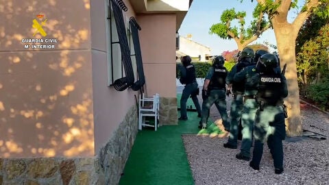 La Guardia Civil ha detenido a 22 personas en los últimos días en cinco actuaciones por el cultivo de cannabis en la Región