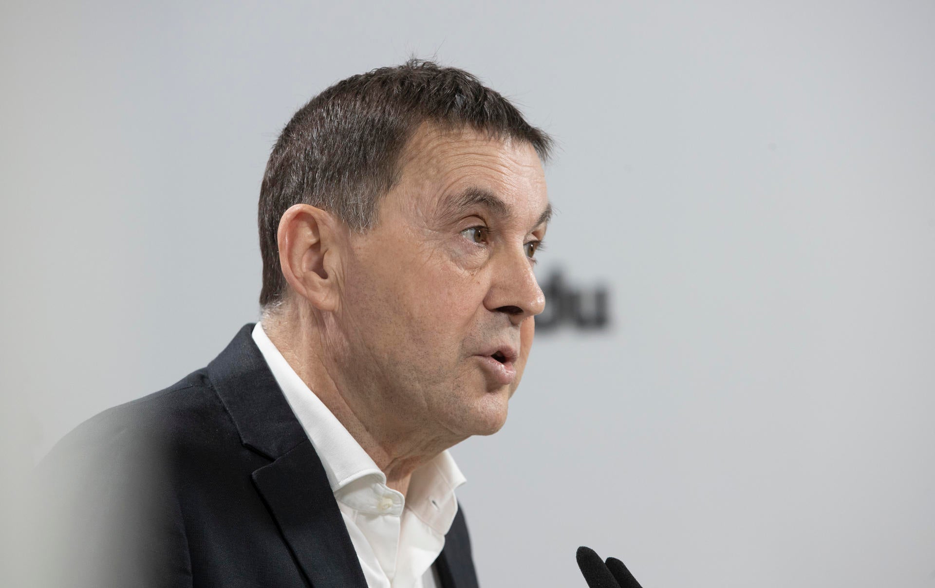 Otegi sobre la renuncia de los candidatos de Bildu: "Es una decisión que aplaudimos" Otegi sobre la renuncia de los candidatos de Bildu: "Es una decisión que aplaudimos"