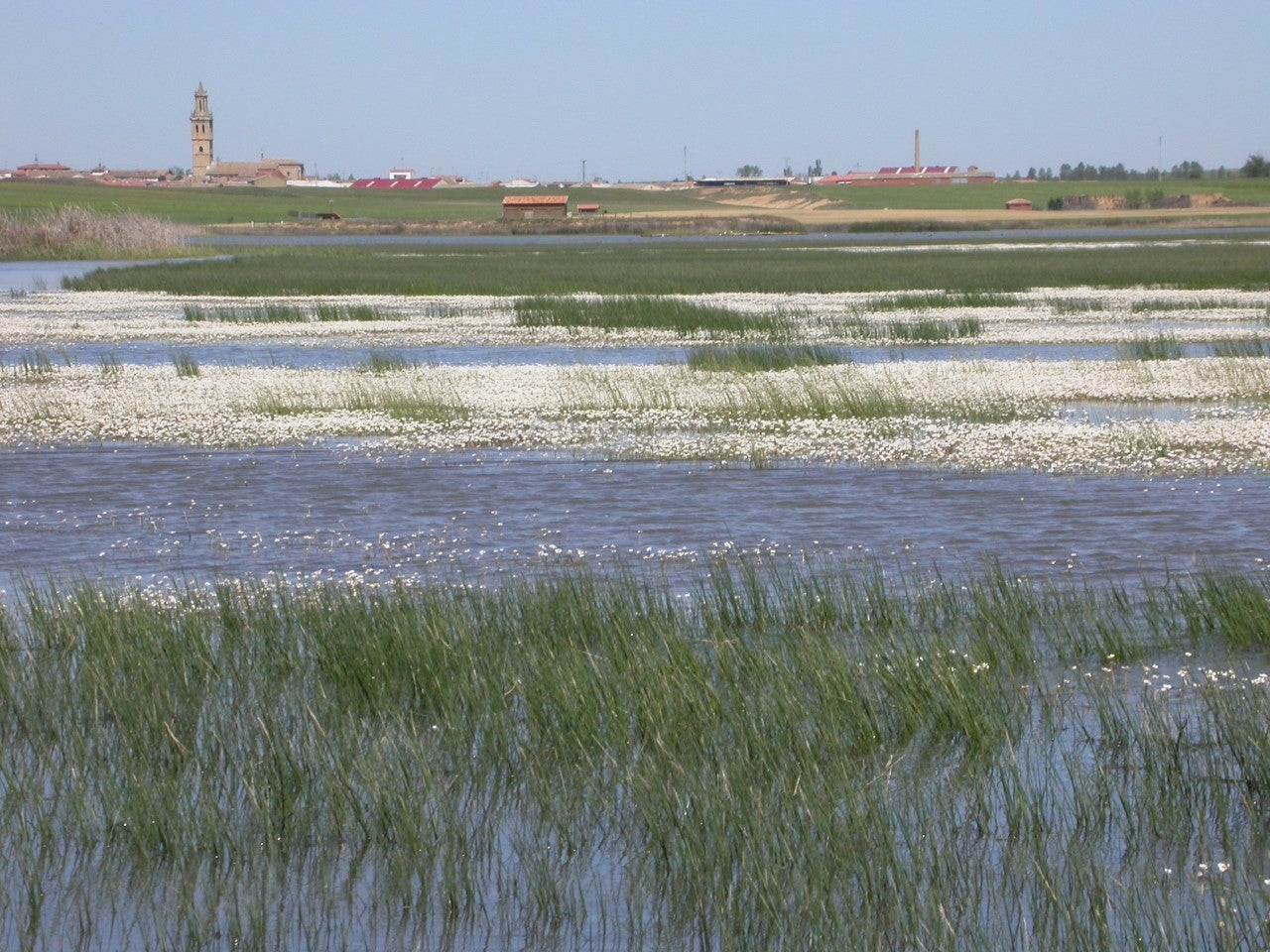 La Junta gestionará más de 600.000 euros de fondos europeos para la mejora y conservación del humedal de La Nava La Junta gestionará más de 600.000 euros de fondos europeos para la mejora y conservación del humedal de La Nava